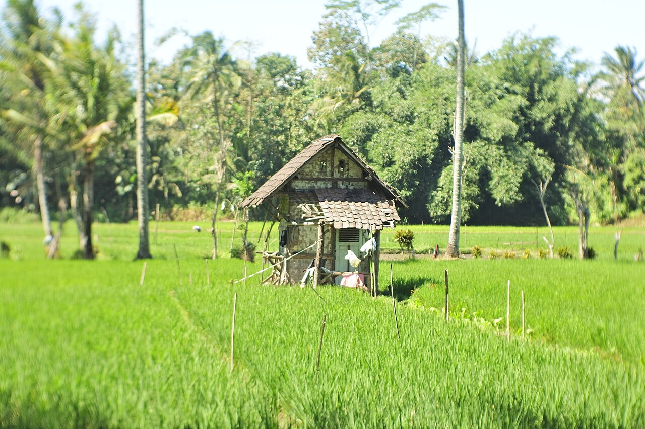 Foto 1 — Desa Bakalan