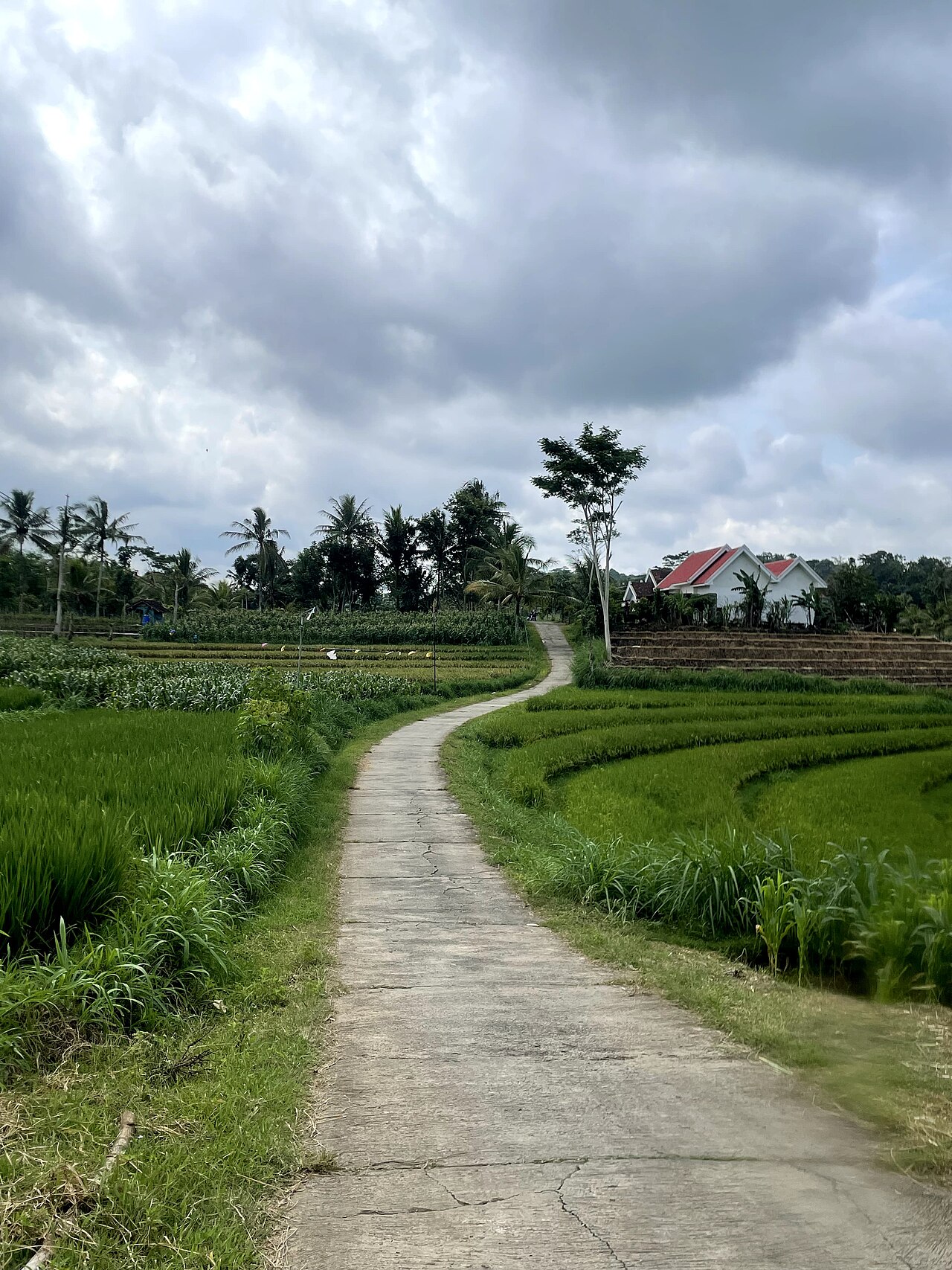Foto 1 — Desa Banjarejo