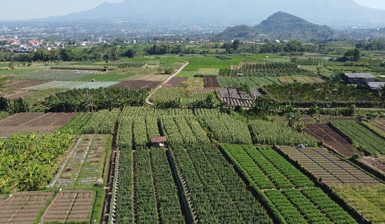 Desa Donowarih