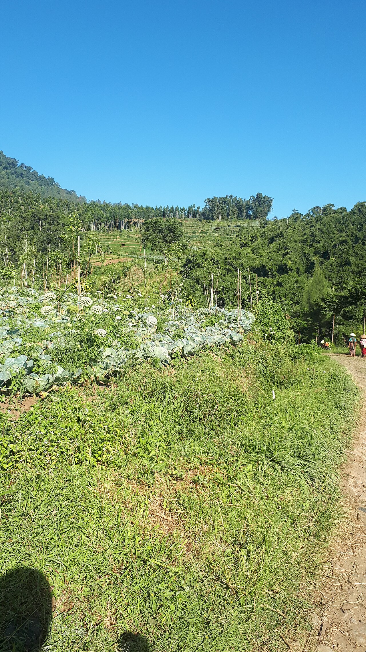 Foto 1 — Desa Ngabab