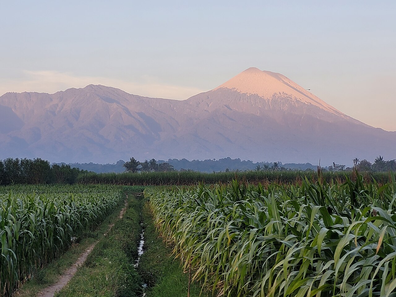 Desa Ngawonggo