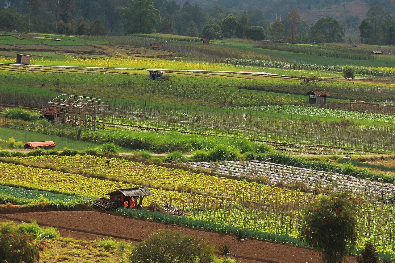 Foto 2 — Desa Pujon Kidul