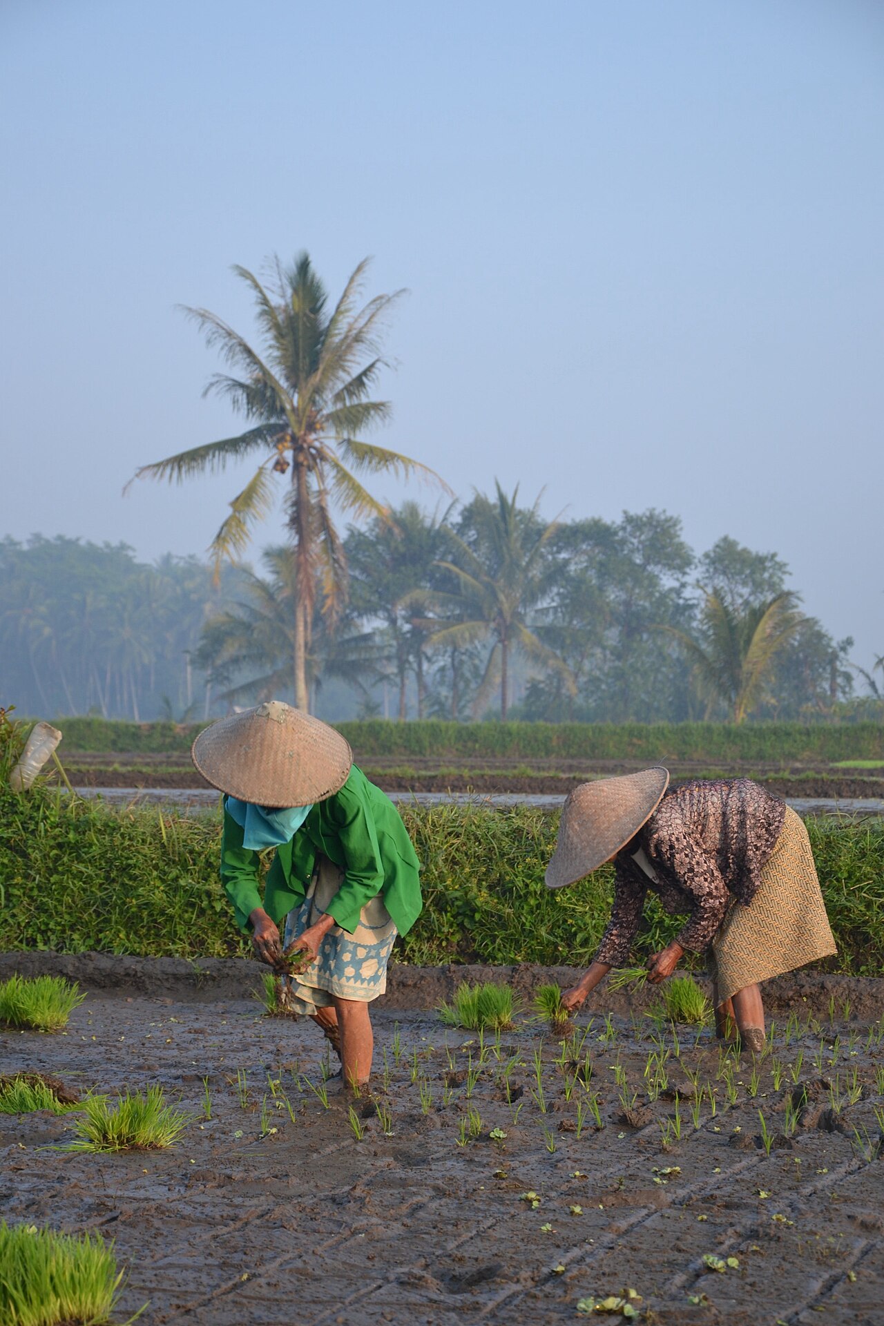 Desa Talangsuko