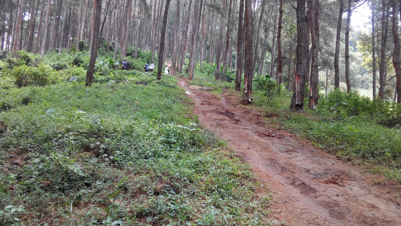 Desa Wadung