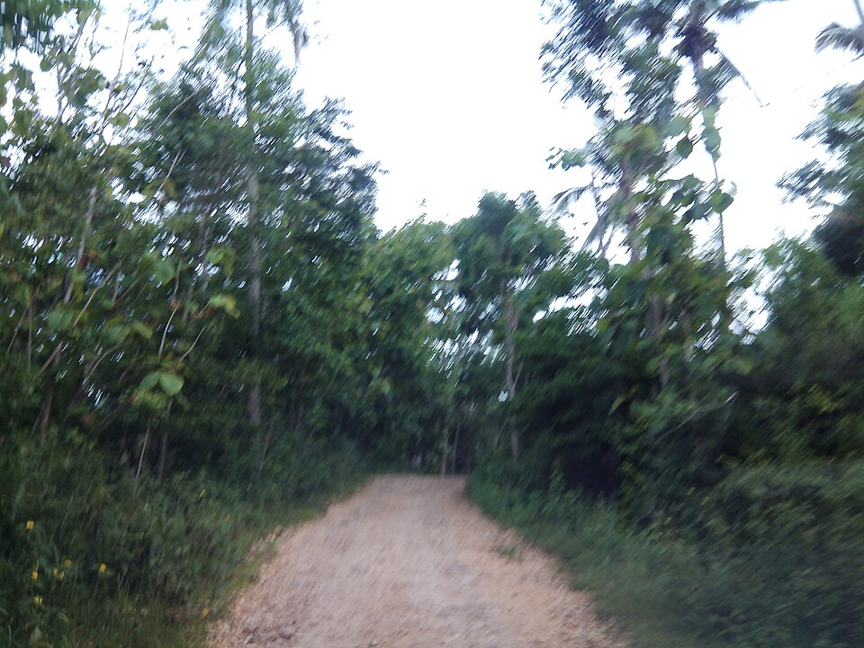 Foto 1 — Kecamatan Bantur