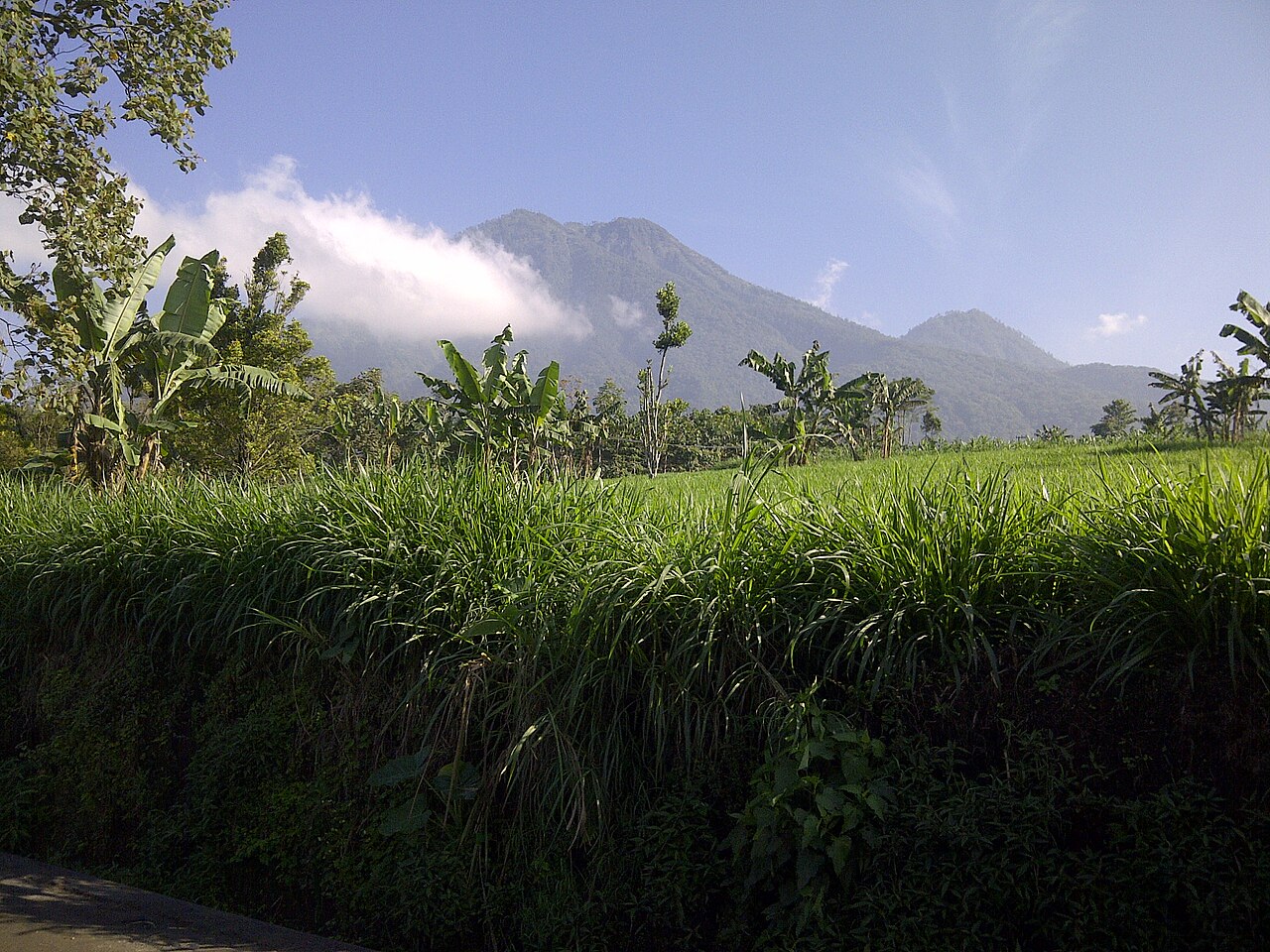 Kecamatan Ngajum