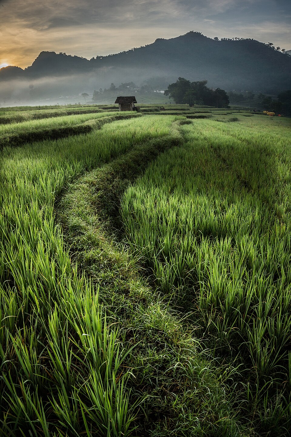 Foto 1 — Kecamatan Ngantang