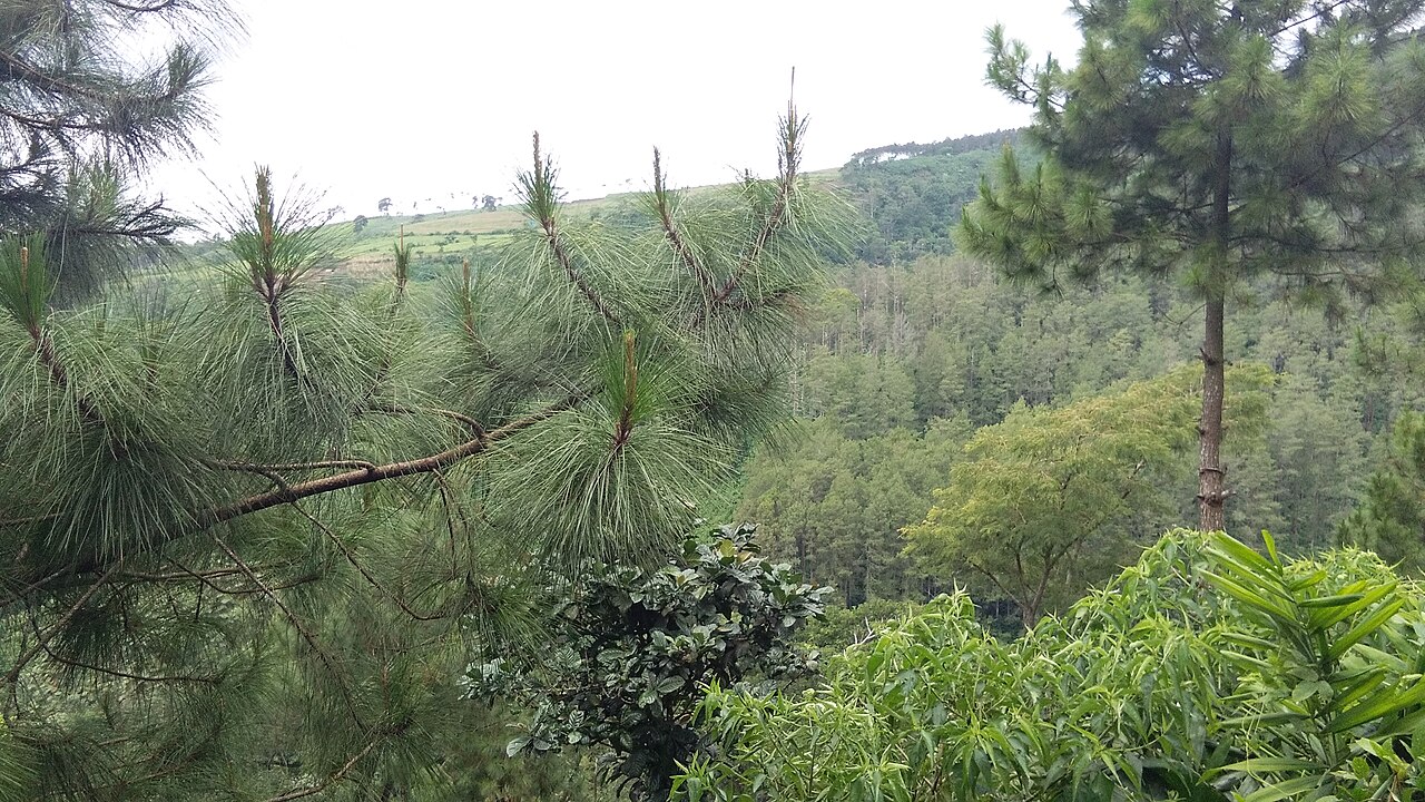 Kecamatan Wagir
