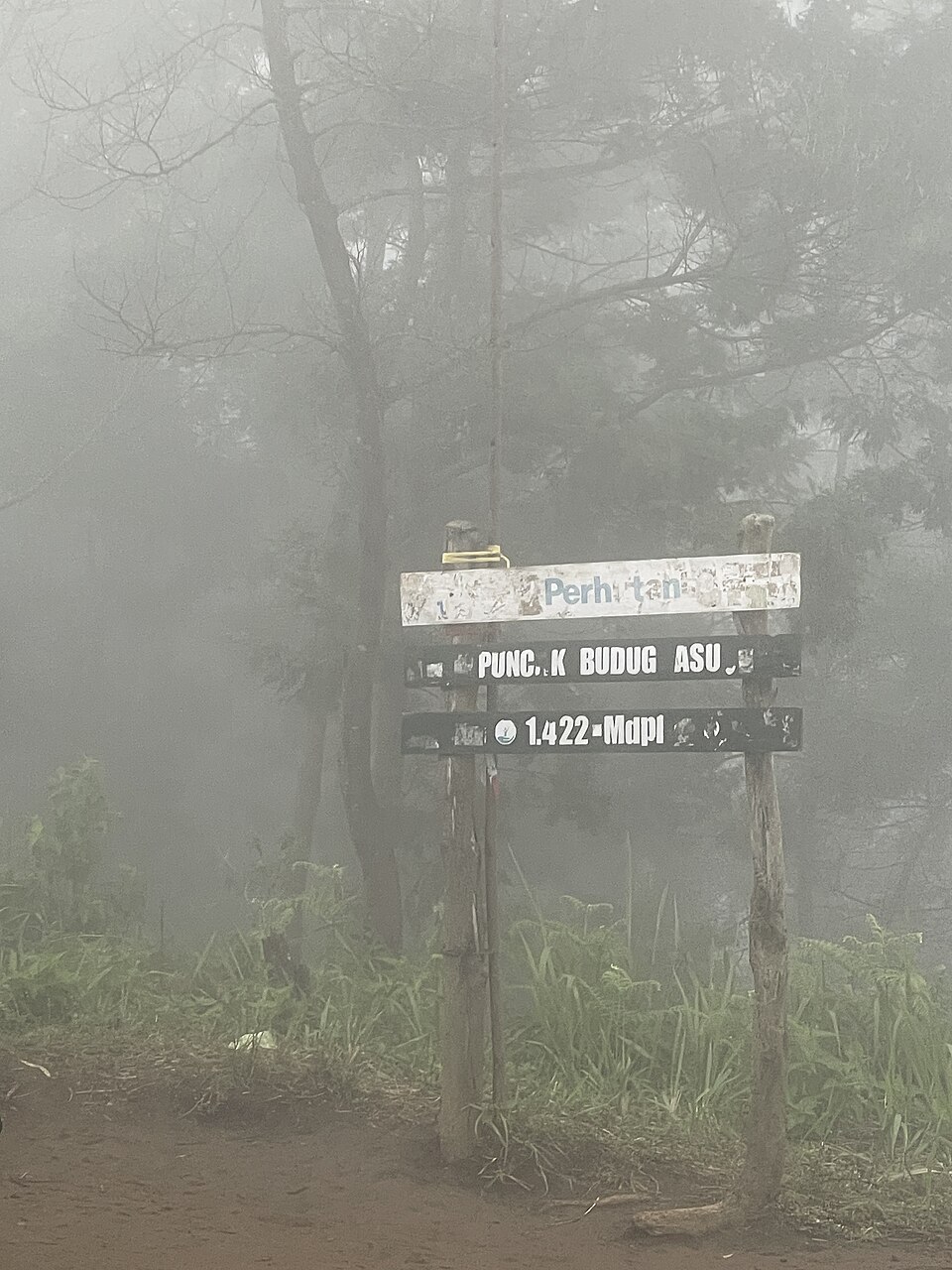 Foto 1 — Desa Gunungrejo