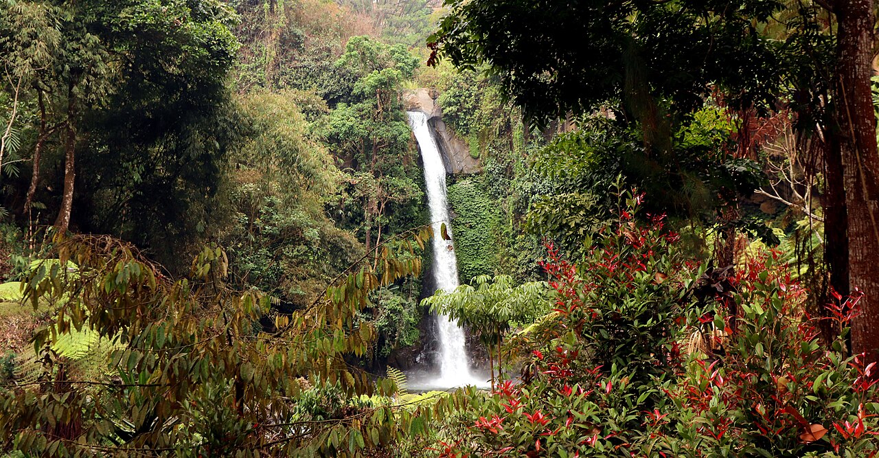 Coban Jahe