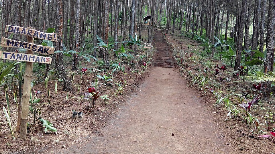 Foto 1 — Gunung Katu dan Lembah Ken Arok