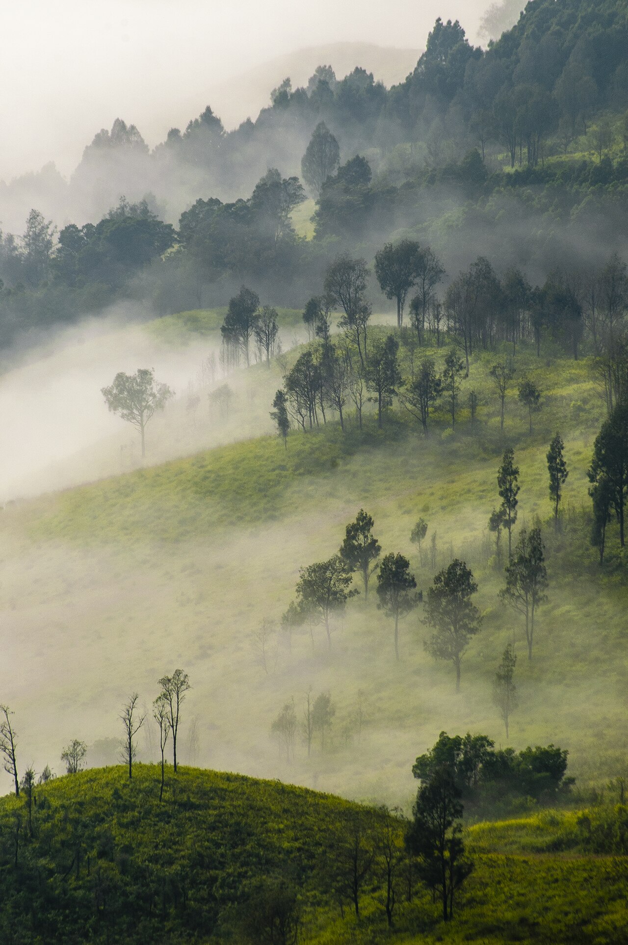 Jalur Pendakian Gunung Semeru via Ranu Pani