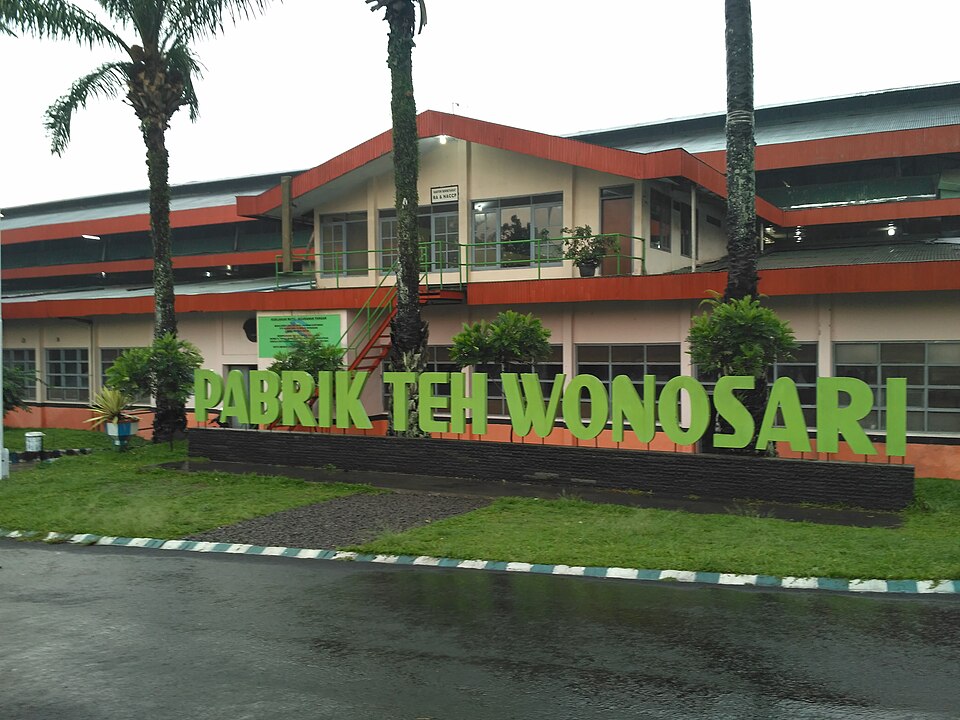 Galeri Kebun Teh Wonosari (Toyomarto)