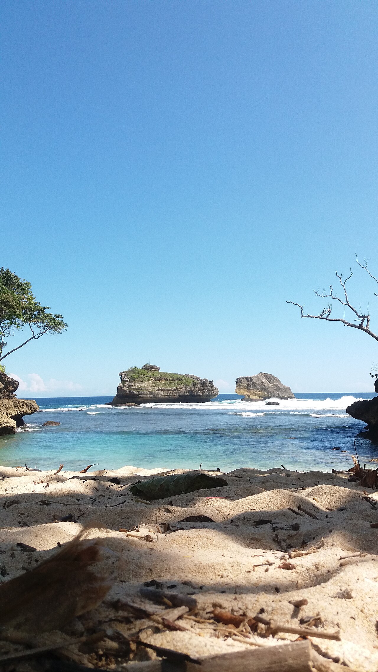 Labuhan Ngliyep Kedungsalam