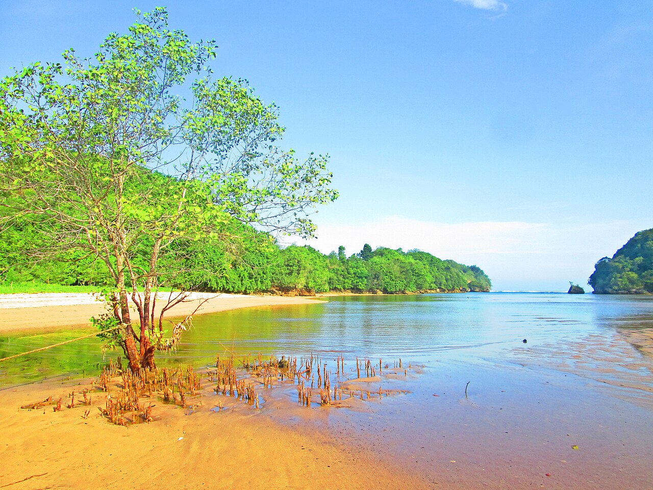 Pantai Clungup