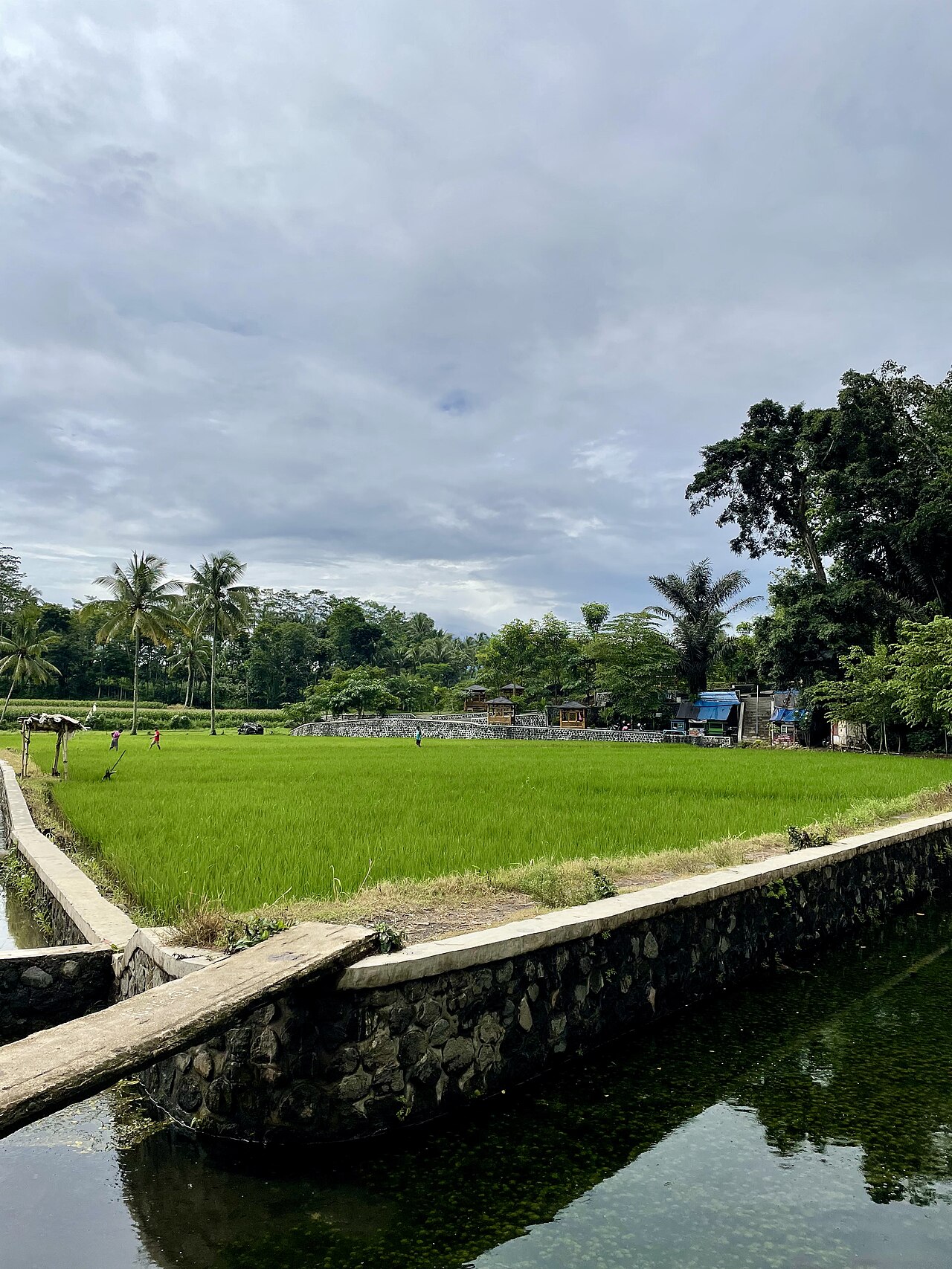 Sumber Sira